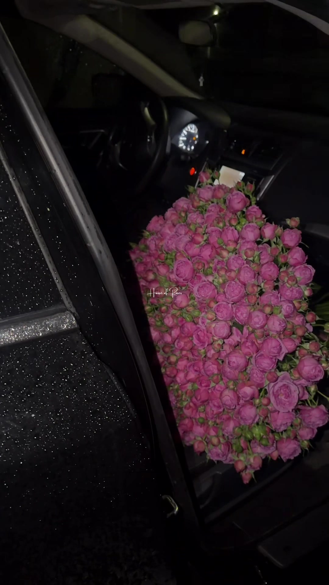 @Թարմ Վարդեր 🌹