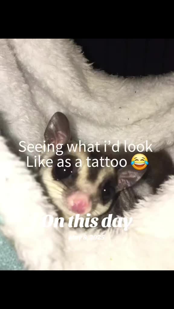@Sugarglider  momma81