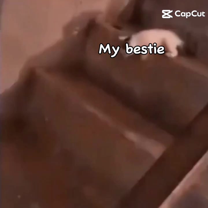 @Lilbear420