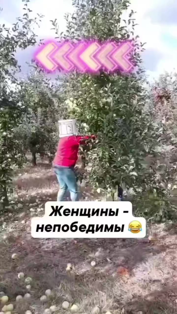 @Сергей