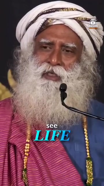 @Spiritual_Pilgrimage11