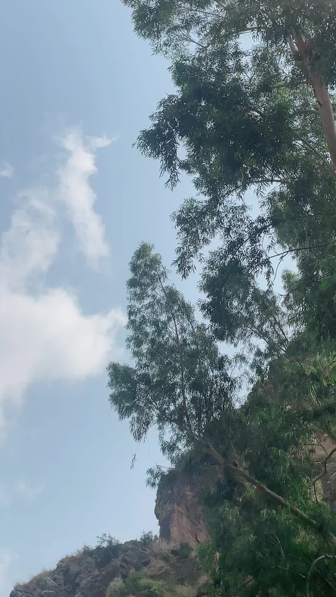 @GUL ZAIB 302