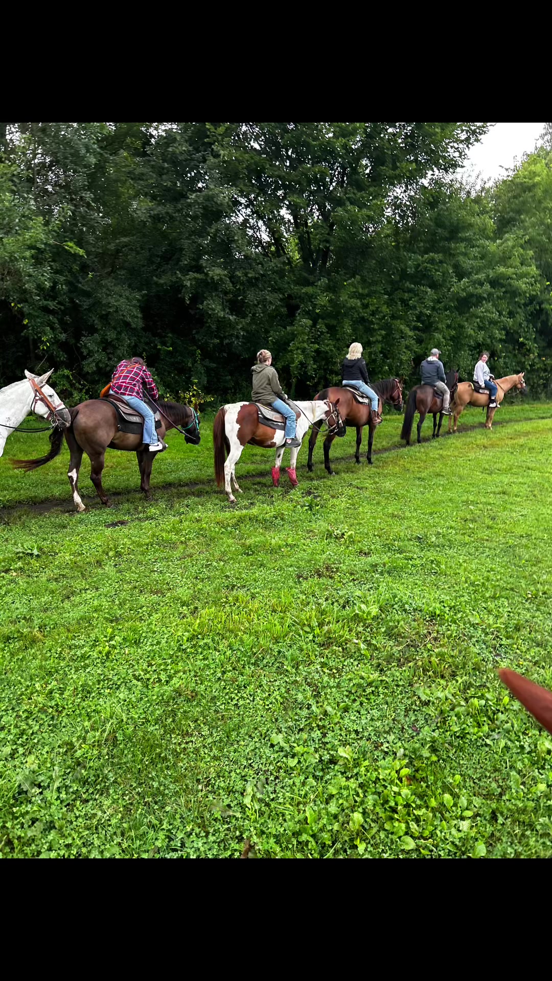@Millbrook Trail Rides