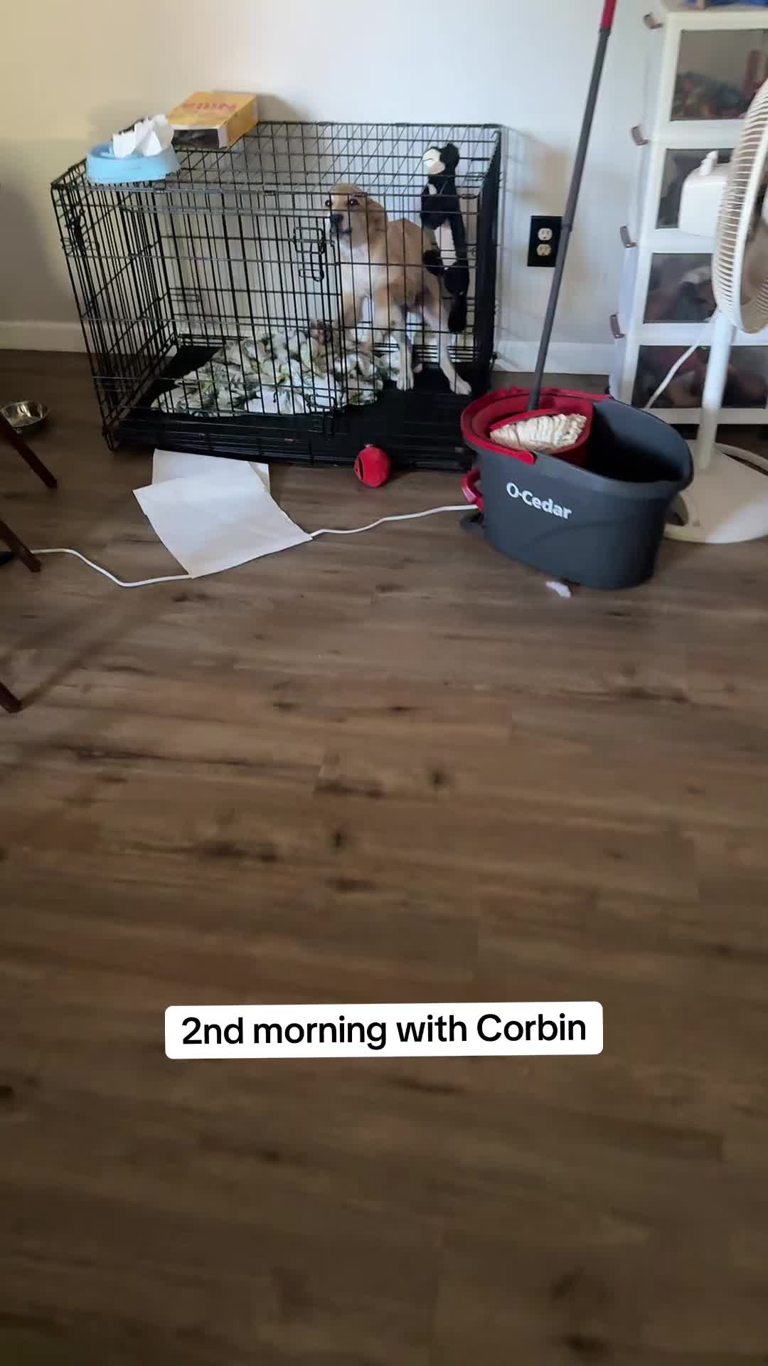@Cari