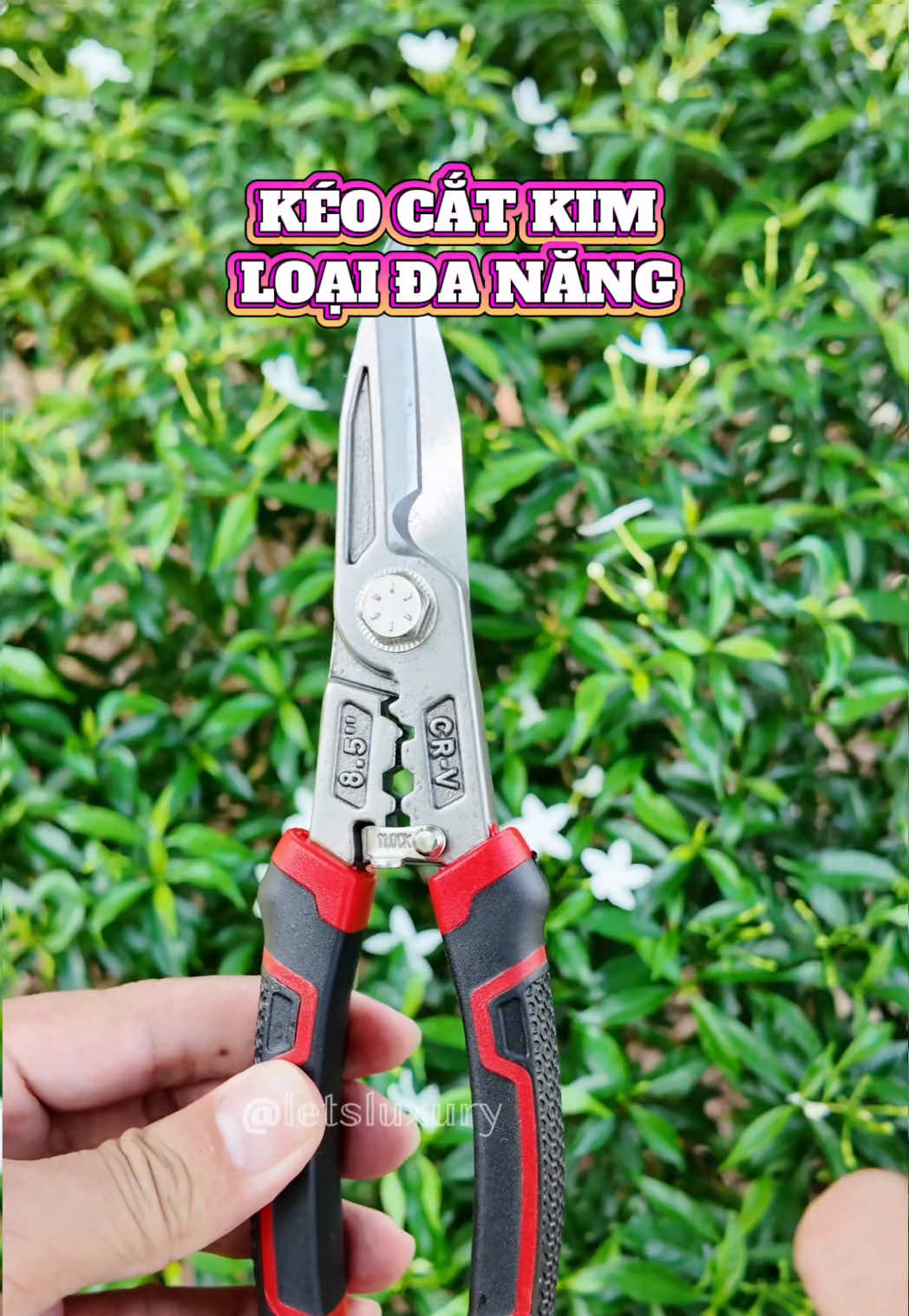 @𝕃𝔼𝕋’𝕊 𝕃𝕌𝕏𝕌ℝ𝕐