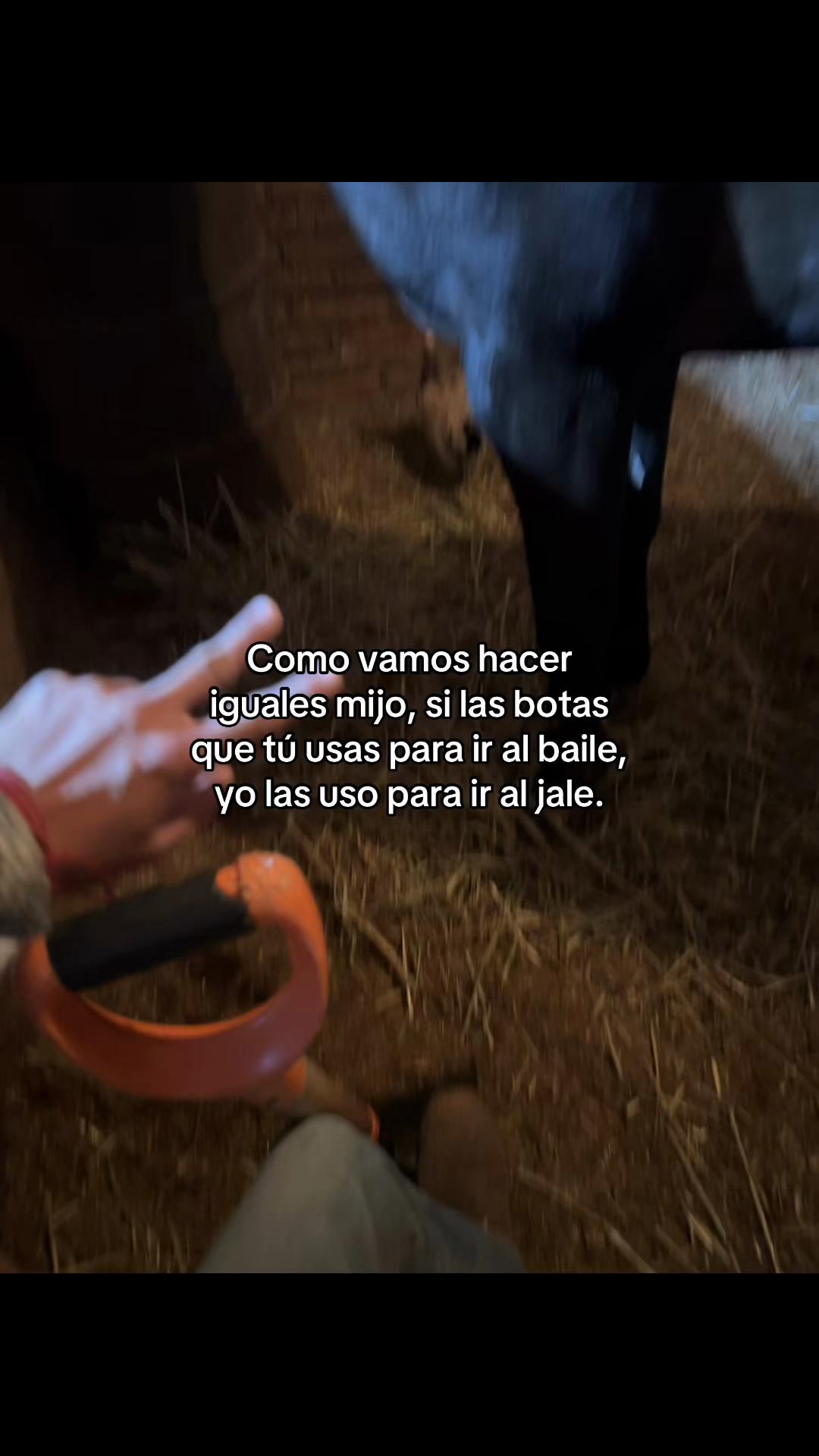@Carlos_favela7