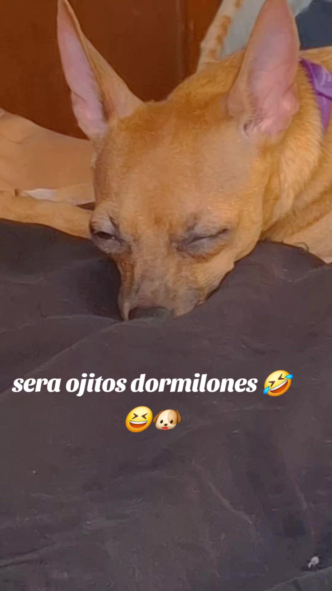 @chaparrita toxica💜💙💚💛🧡❤️