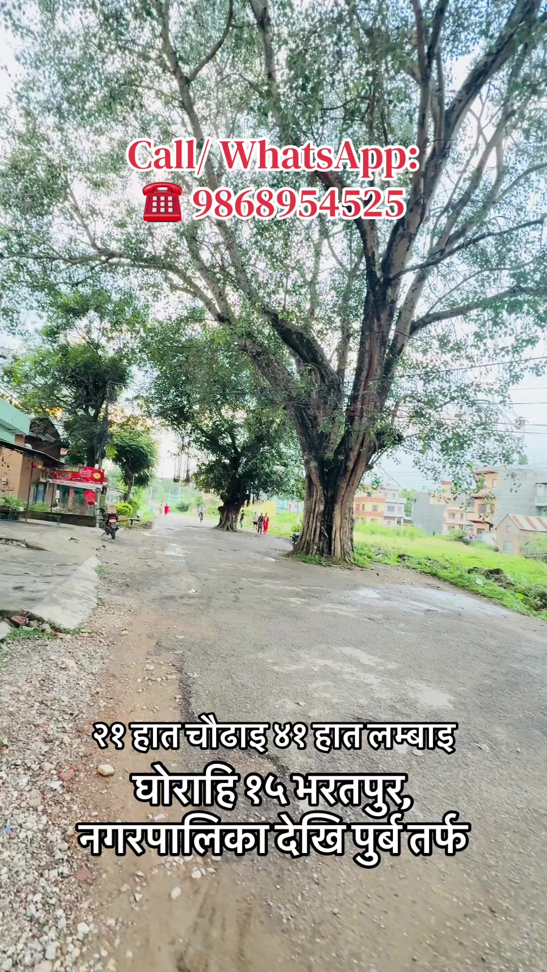 @Sanshet Ghar Jagga घोराहि 🏡