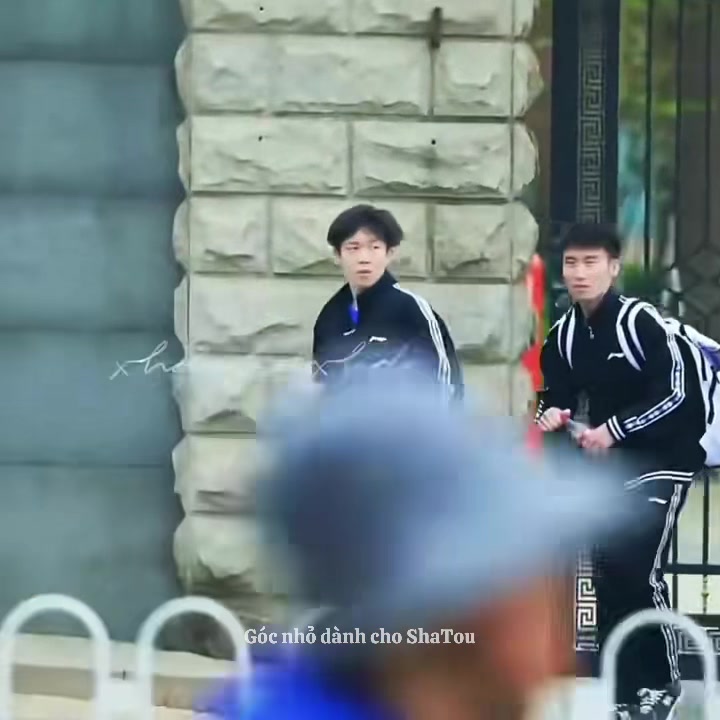 @Góc nhỏ dành cho ShaTou🦁🦈❤️
