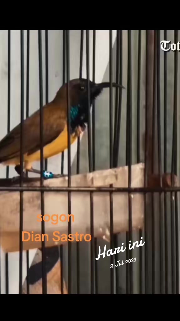 @totalbukpar