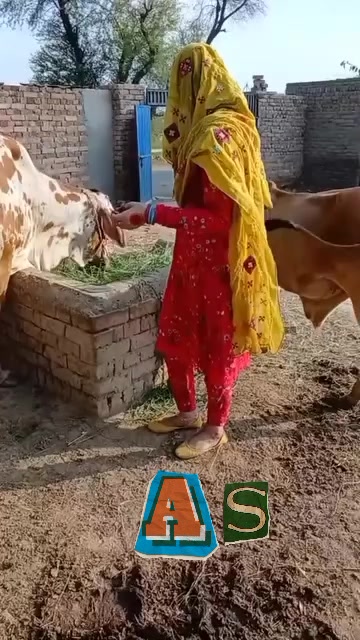 @واهبلوڇ واه