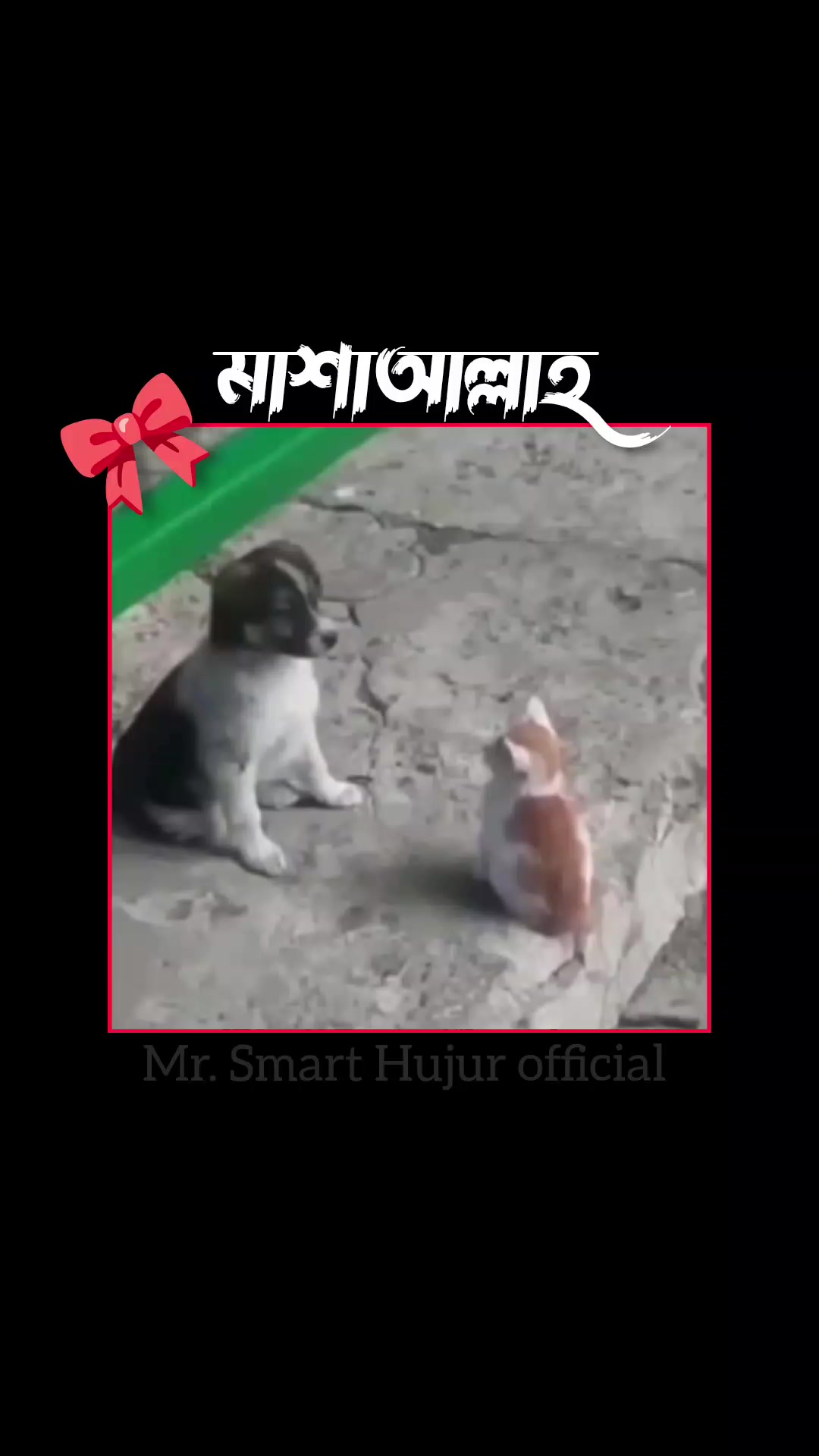 @Mr. Smart Hujur official