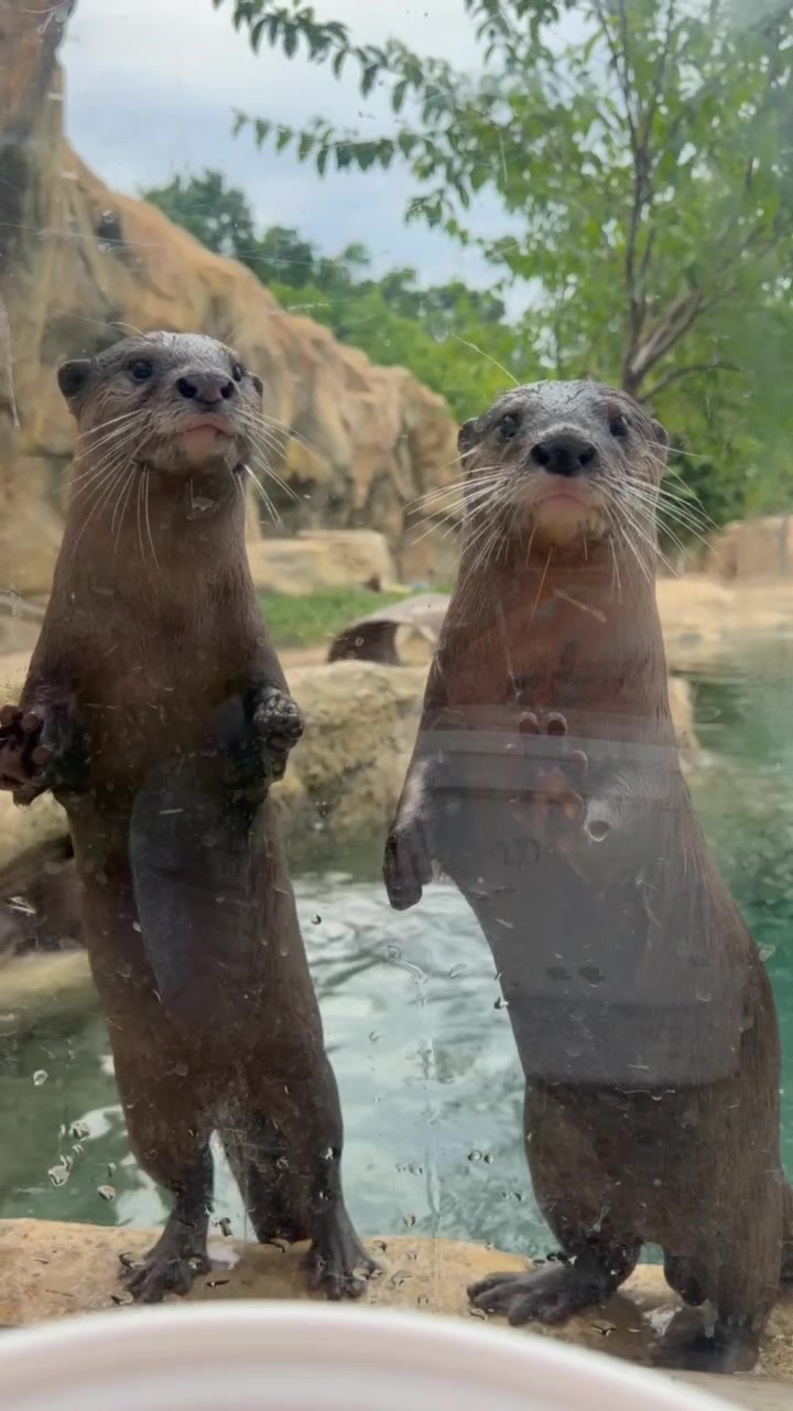 @Cincinnati Zoo