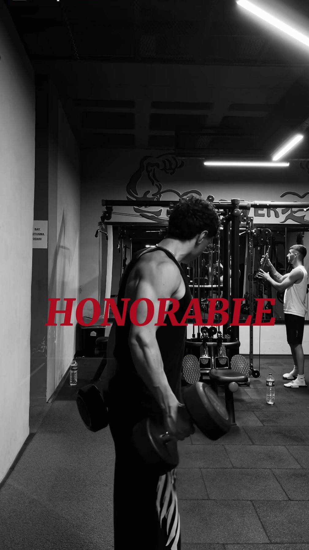 @efebayrakfit