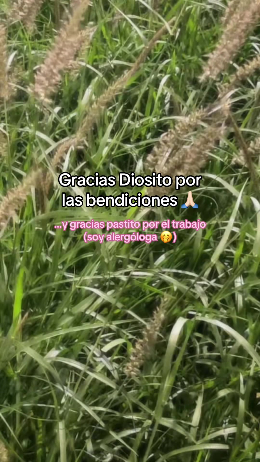 @mi.alergologa.nat