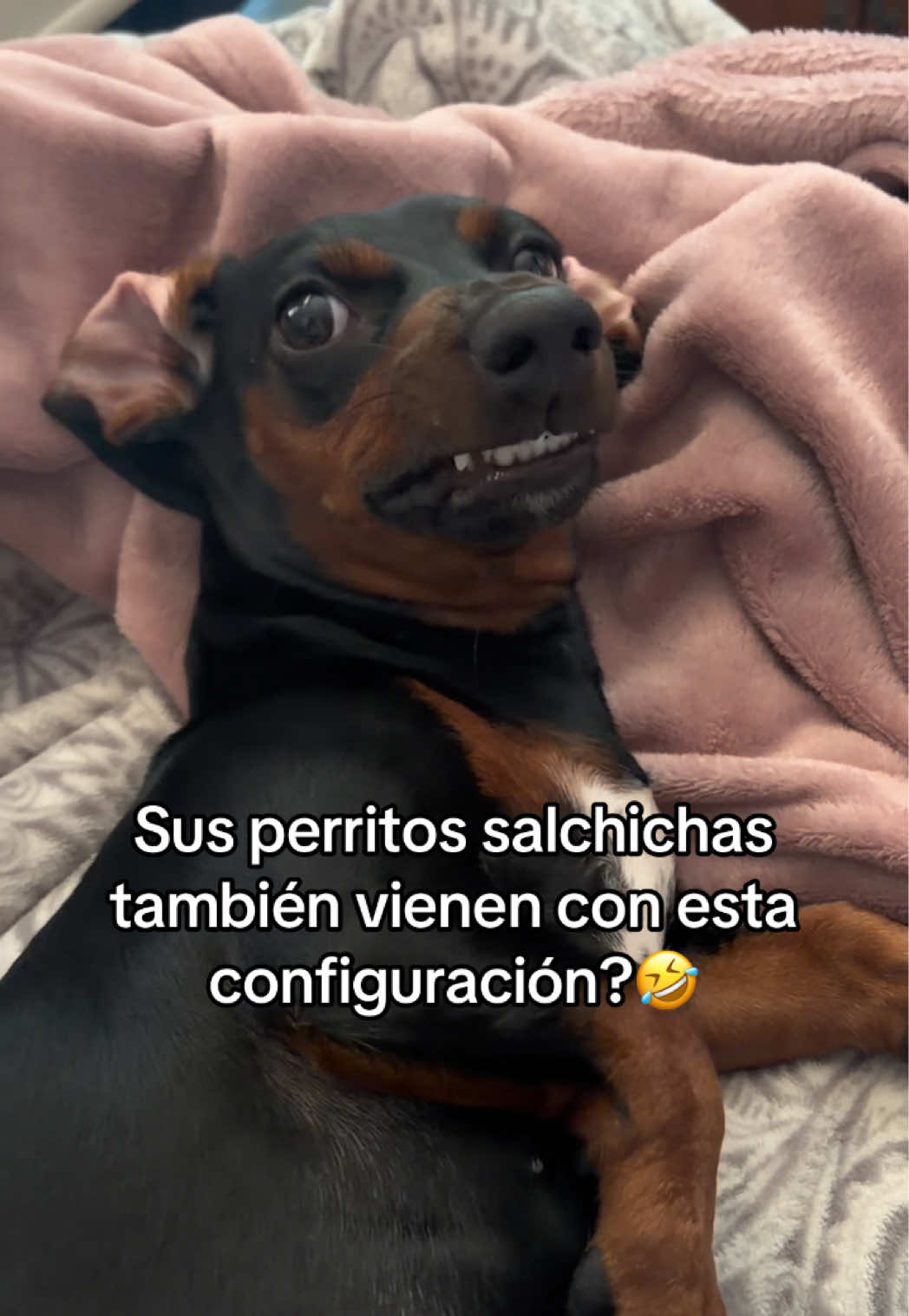@Jessceliss