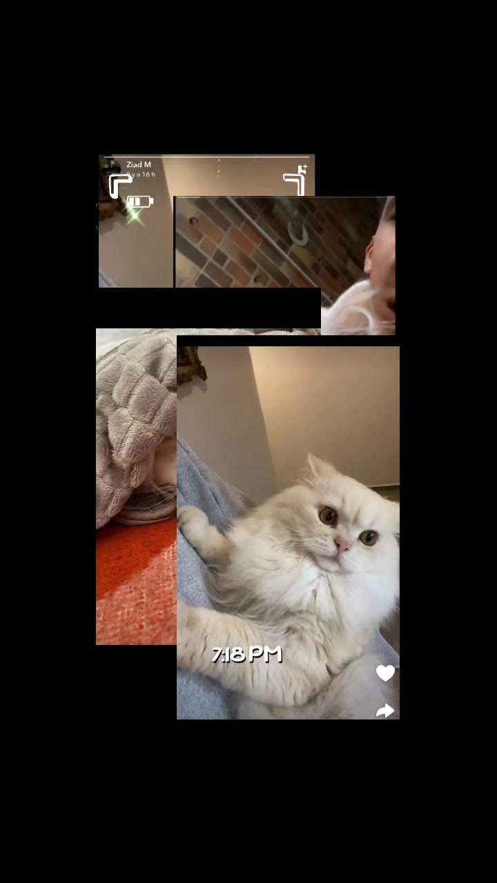 @Prince 🤴 nicotine 🐱nana