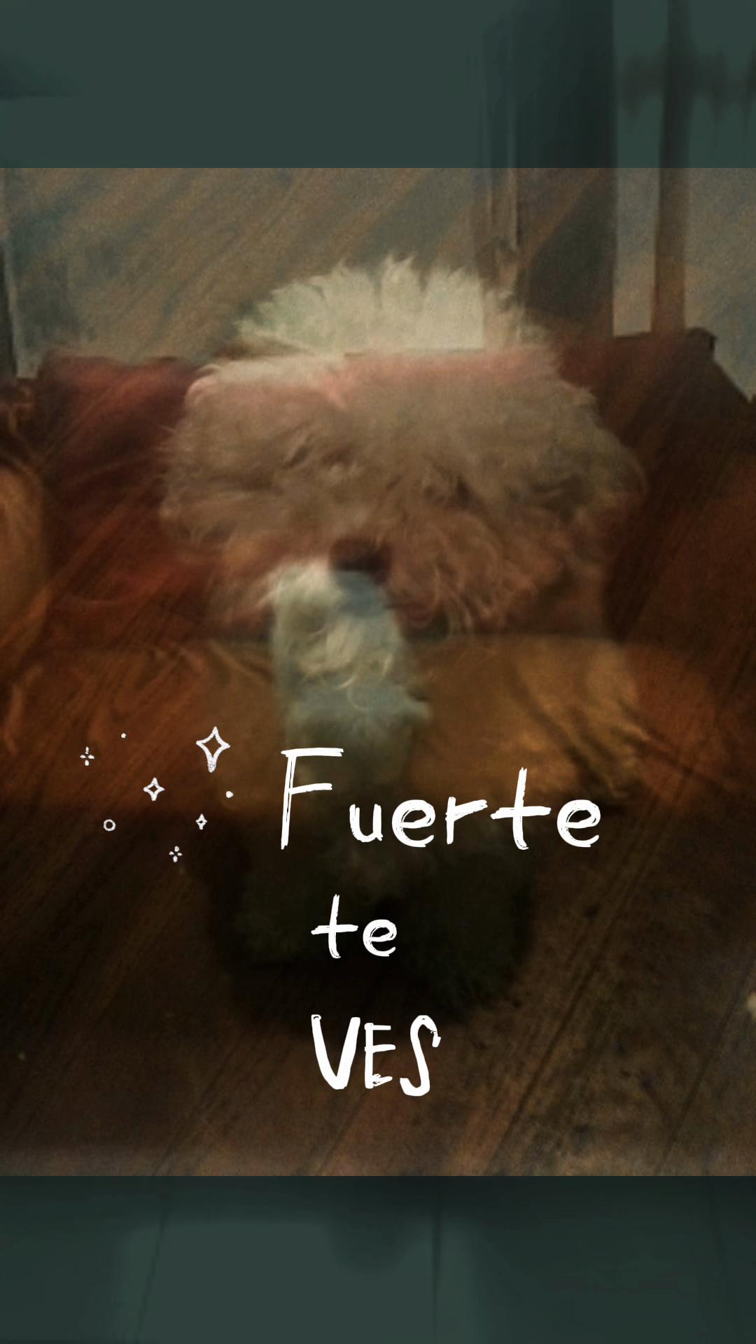 @Richi_boy_420
