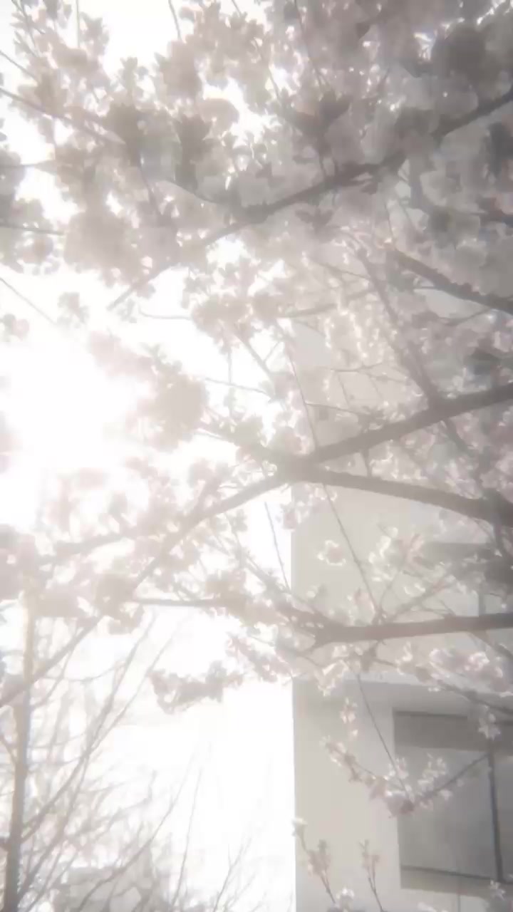 @Hidanori_official ム