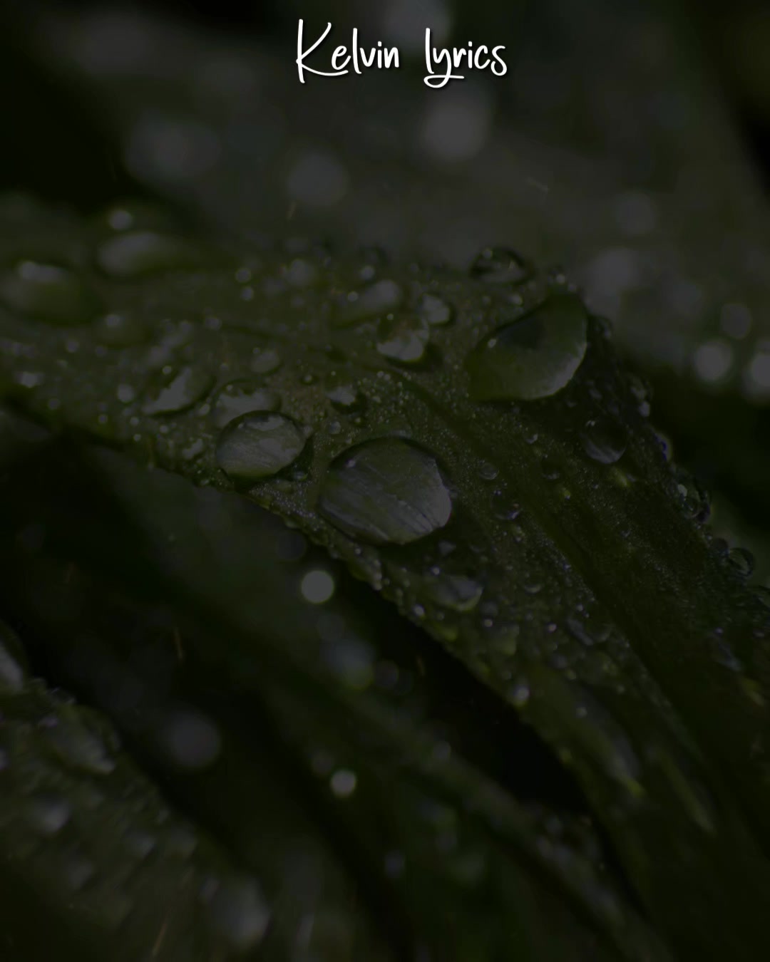 @𝐊𝐈𝐍𝐆 𝐎𝐅 𝐋𝐘𝐑𝐈𝐂𝐒