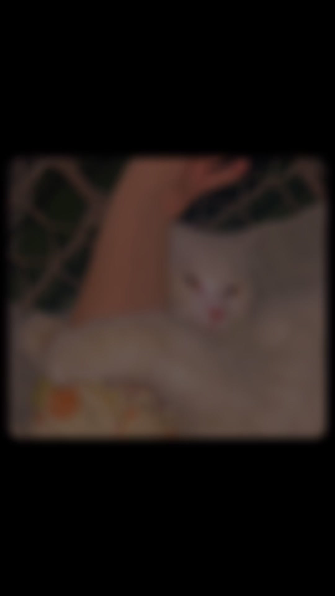@mahwish.