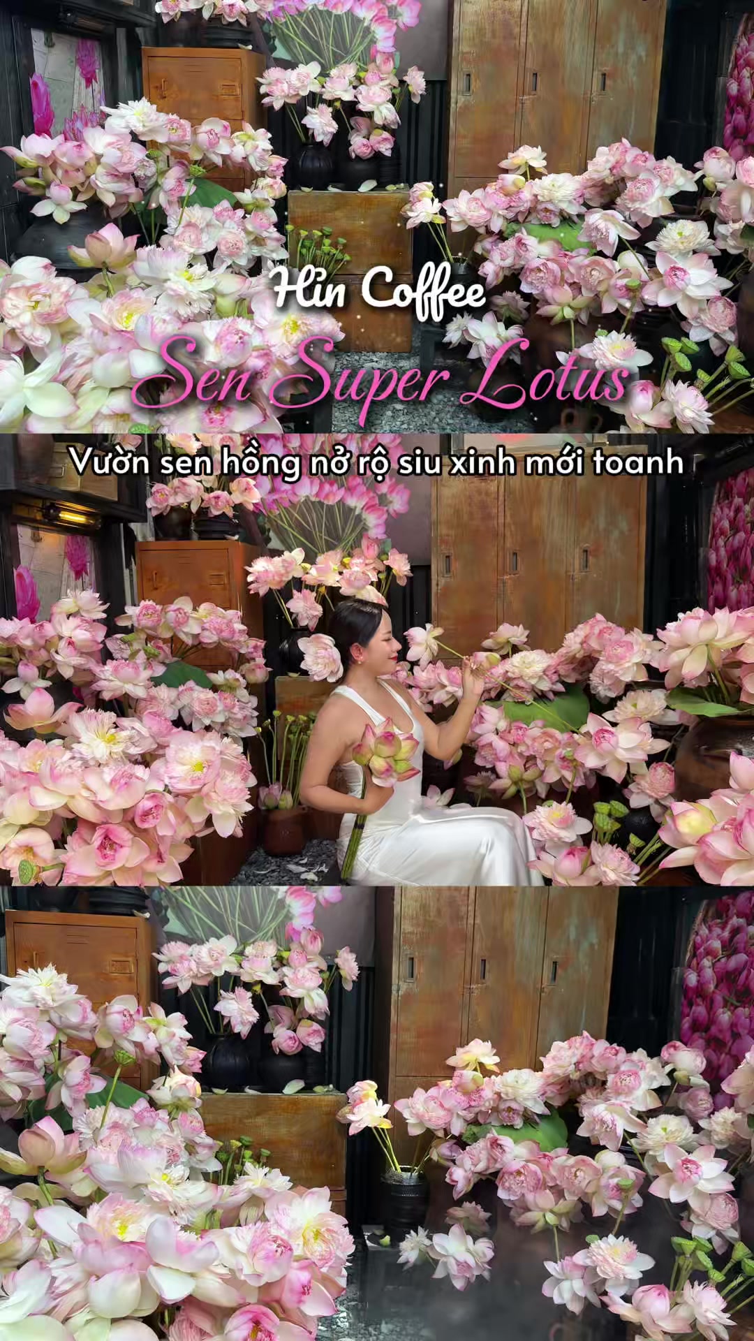 @thao leader