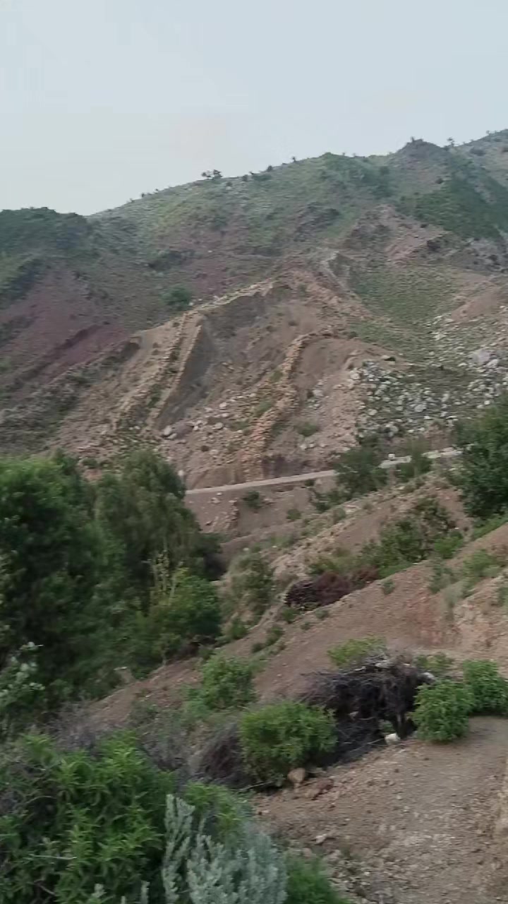 @mkhanafridi22