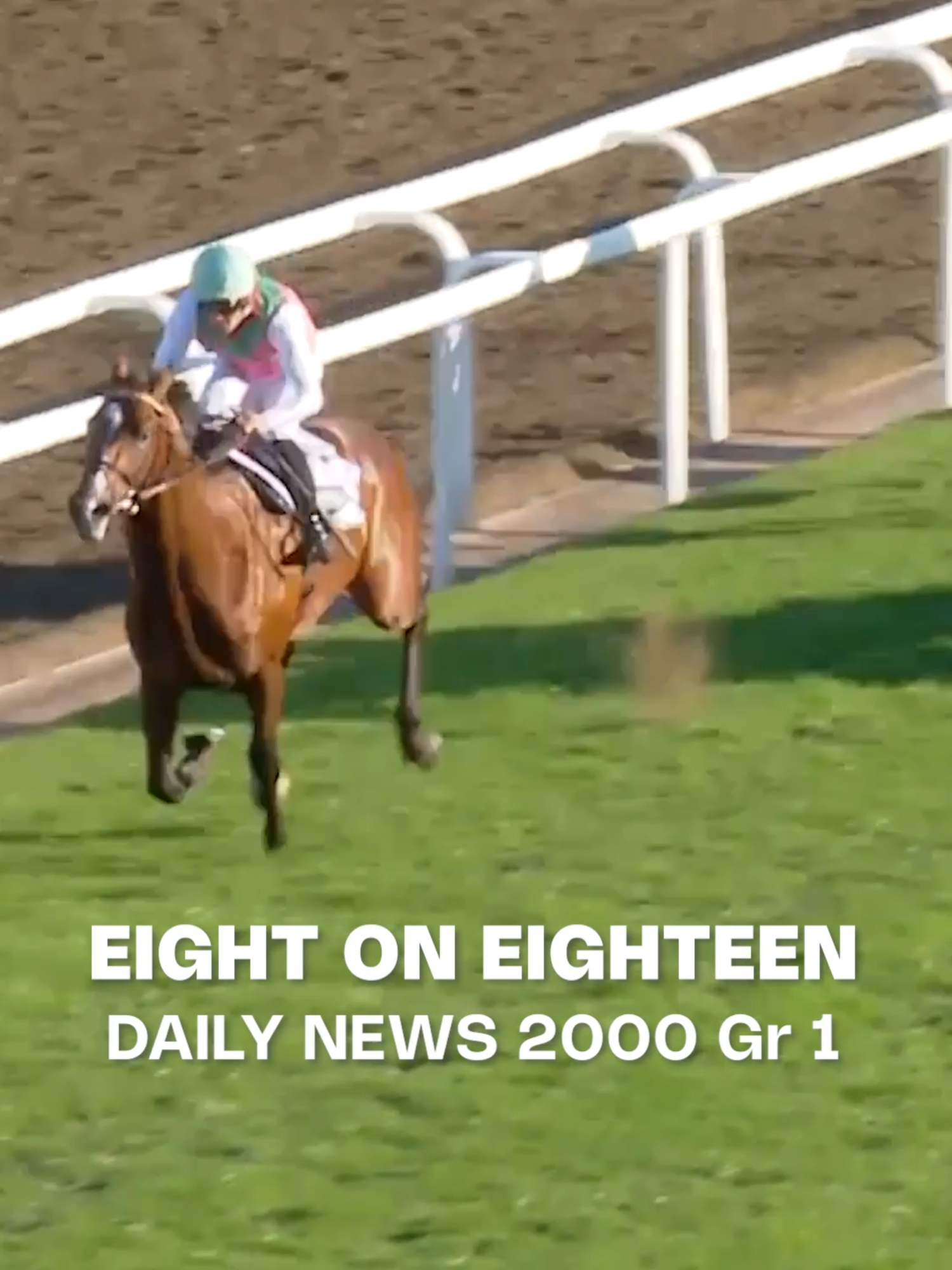@Gallop TV
