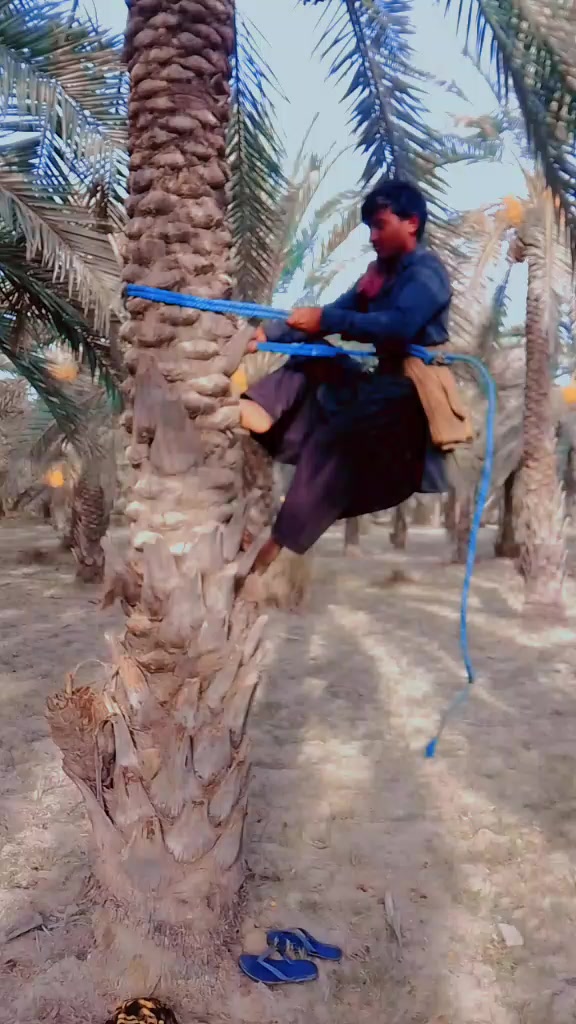@Waheed ali sheikh 533
