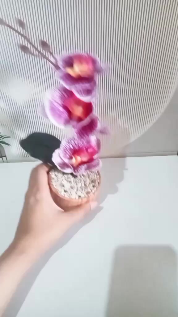 @mom_arsyy