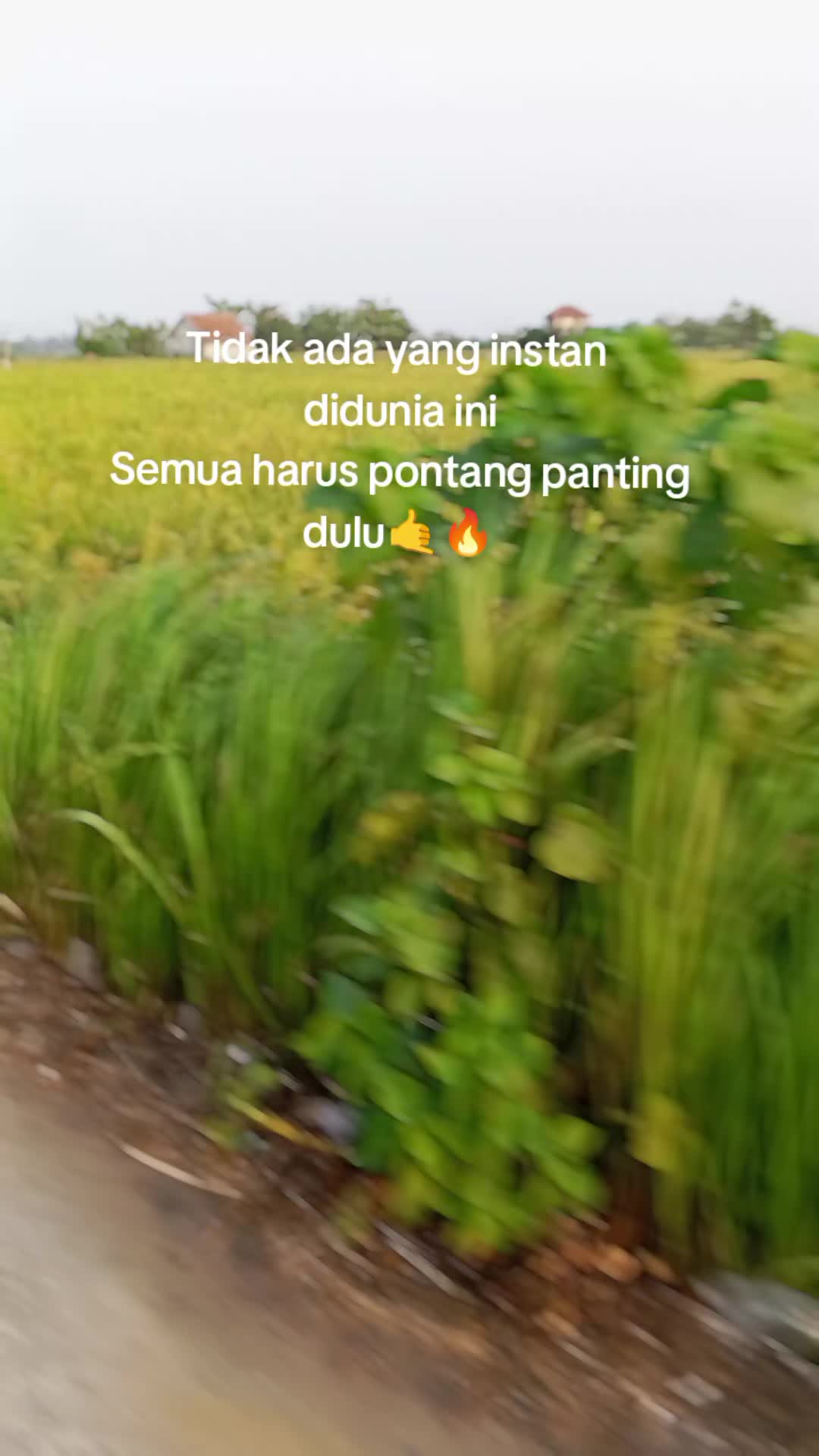 @RisnaLifya✨