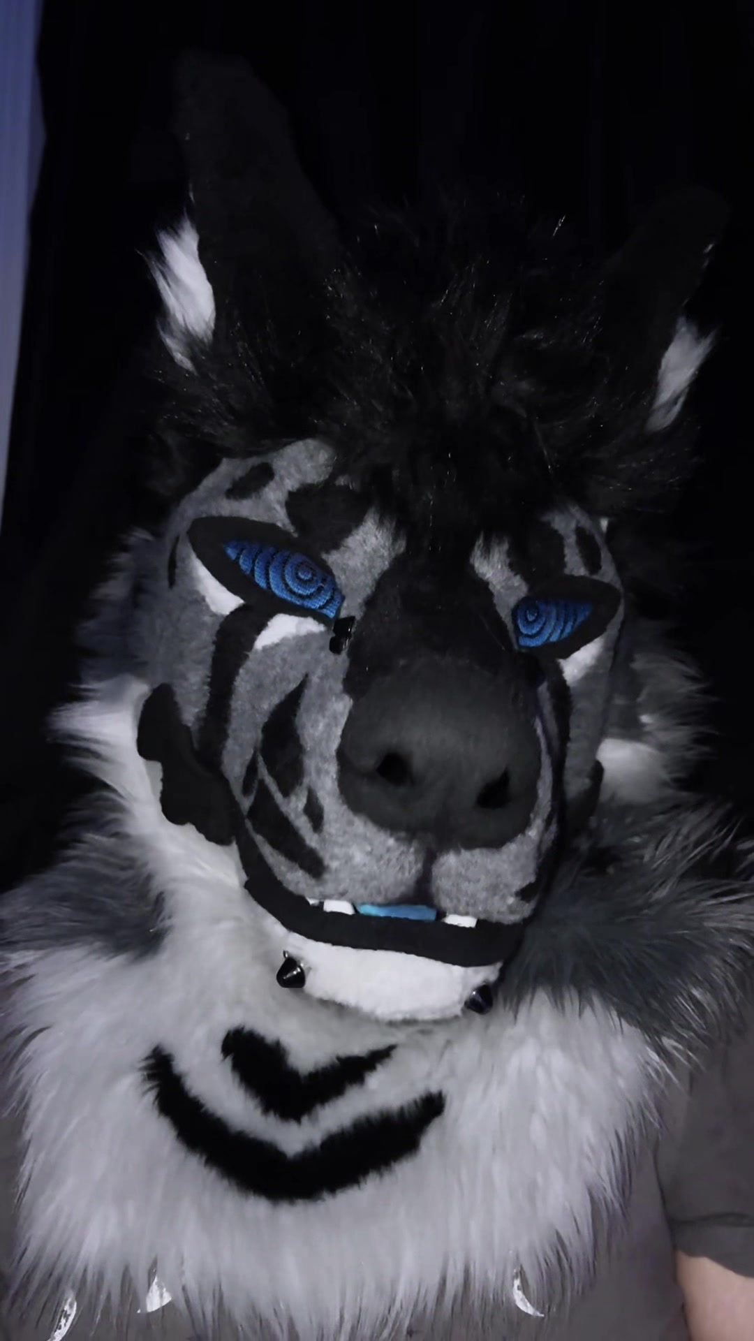 @sonar_hyena_shark