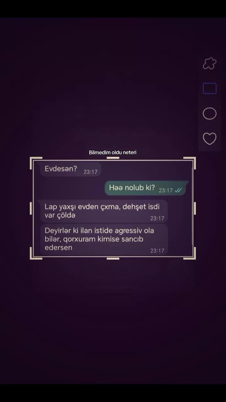@hhabiyevaa