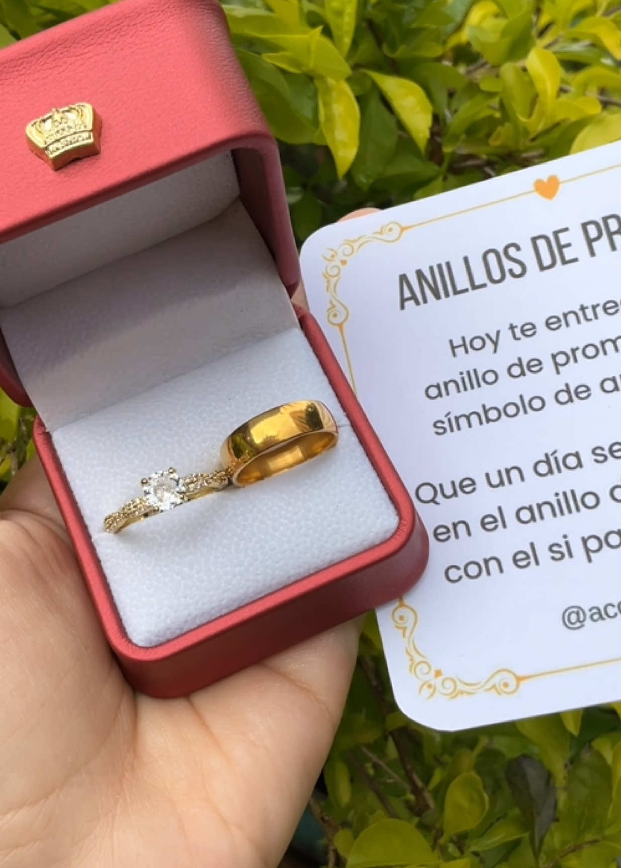 @Accesorios GUS
