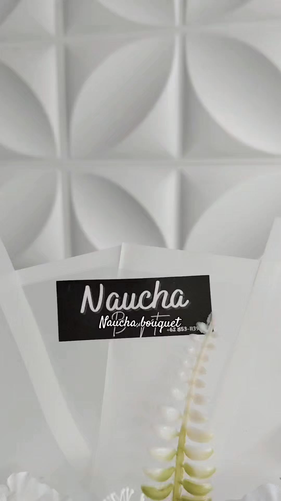 @Naucha_nn🕊