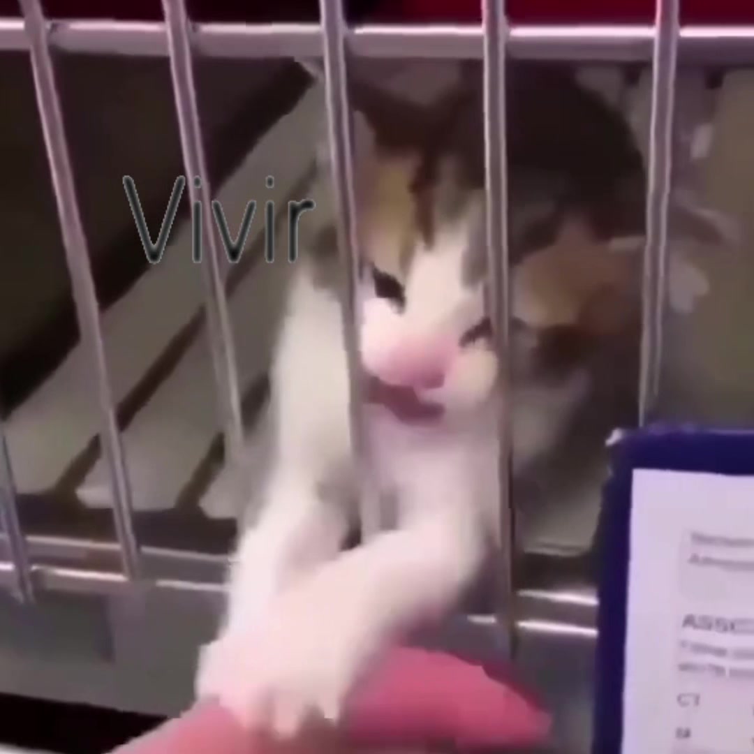 @𝒪𝓳𝓮𝓭𝓪𝓻𝓲𝓸