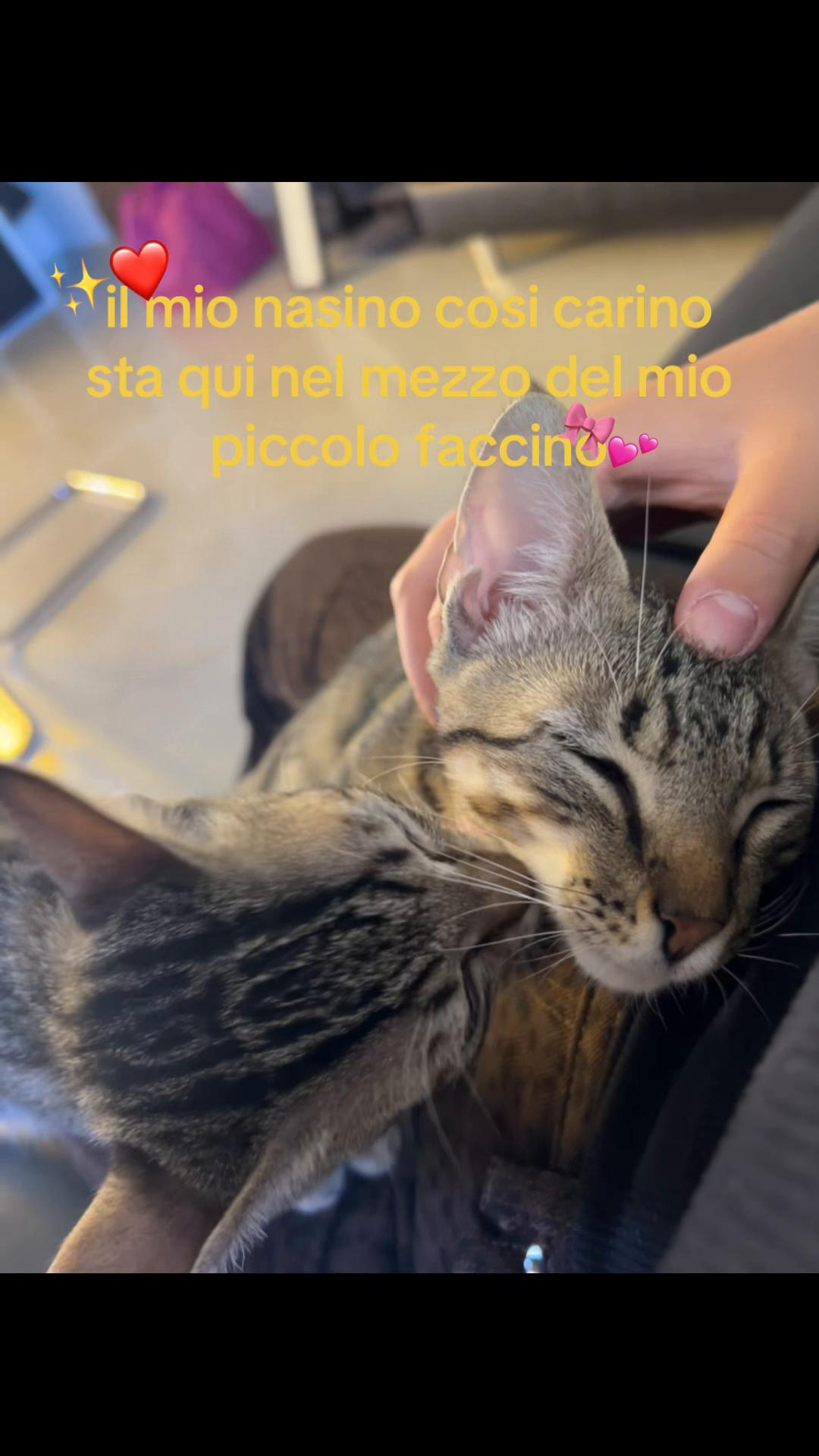@โฎ๐๐๐ค๐ค๐โฎ
