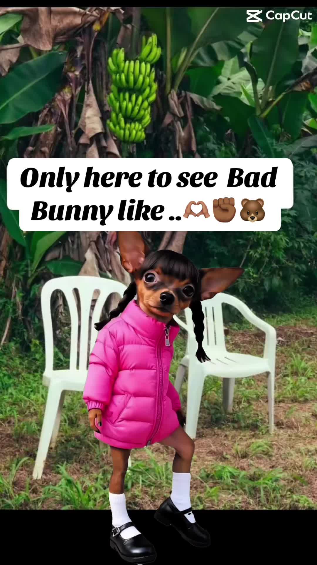 @mamachingona🐻