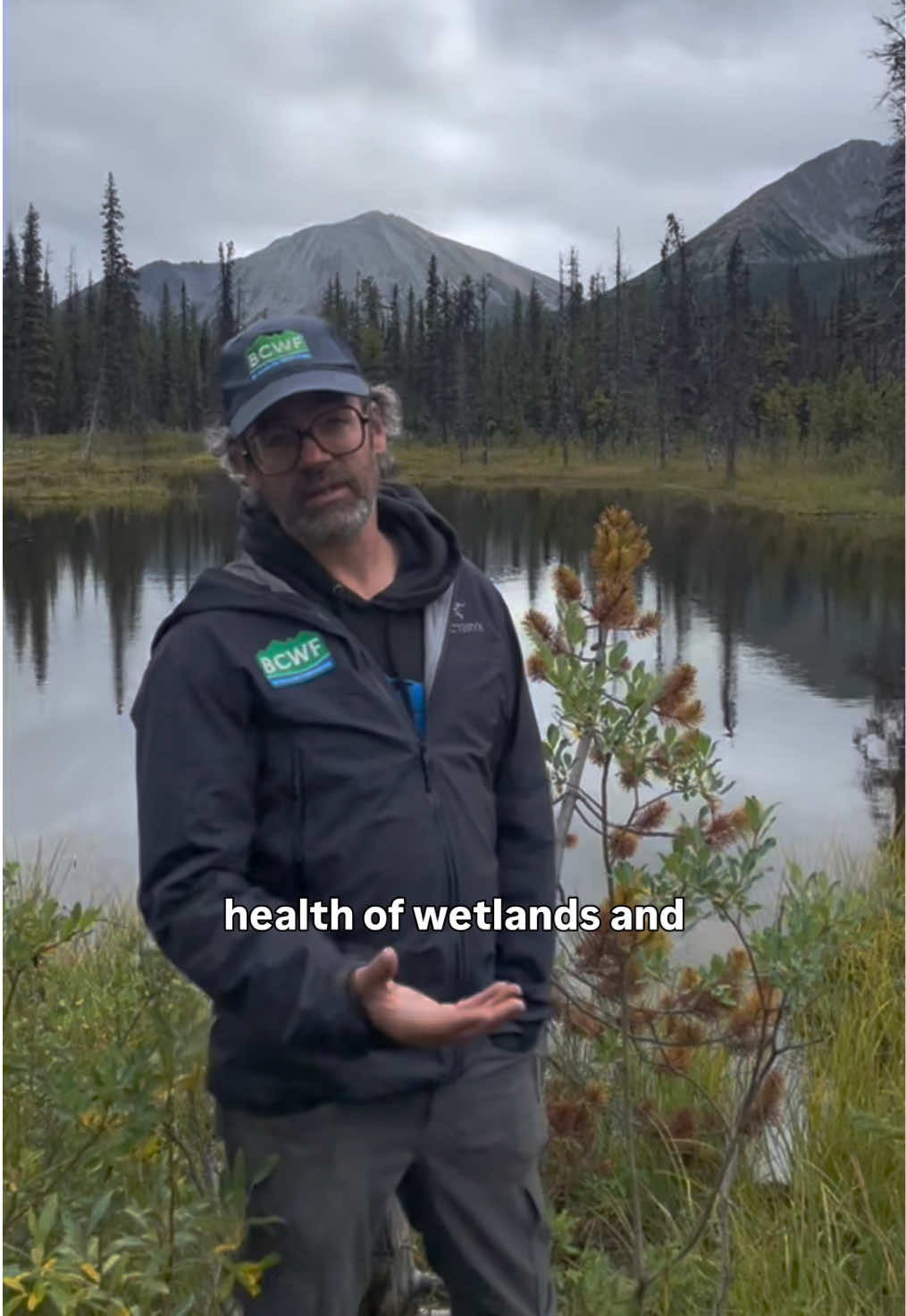@B.C. Wildlife Federation