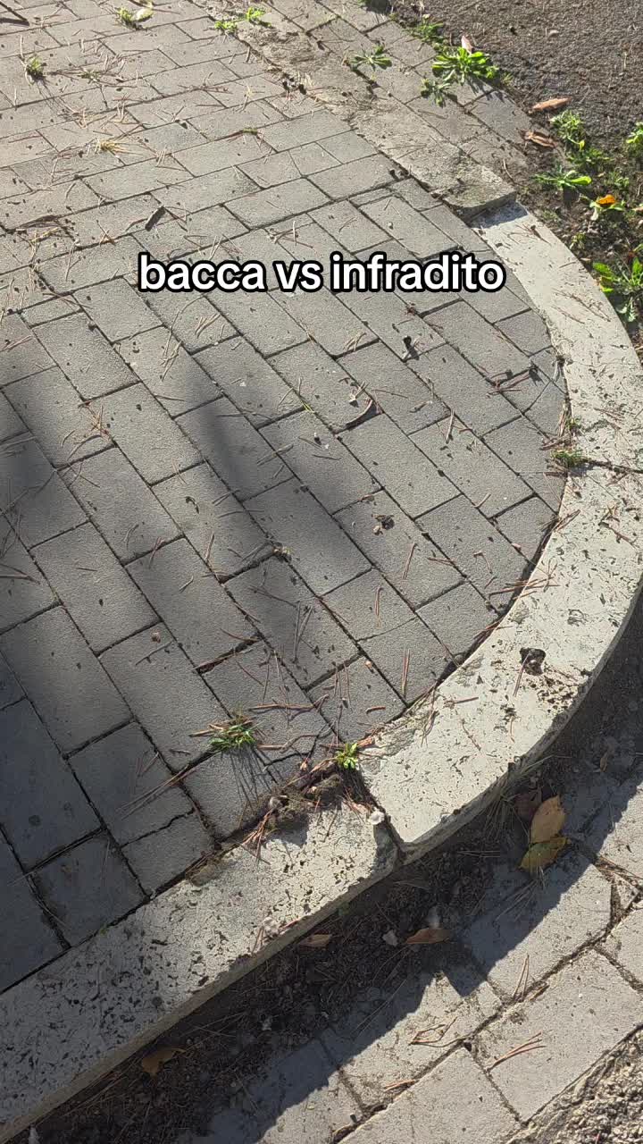 @NyraCrush
