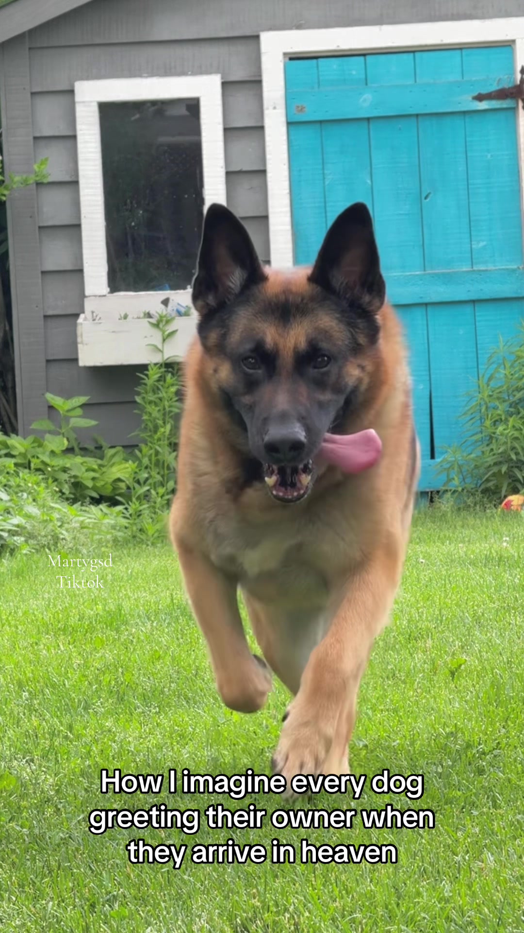 @Martygsd