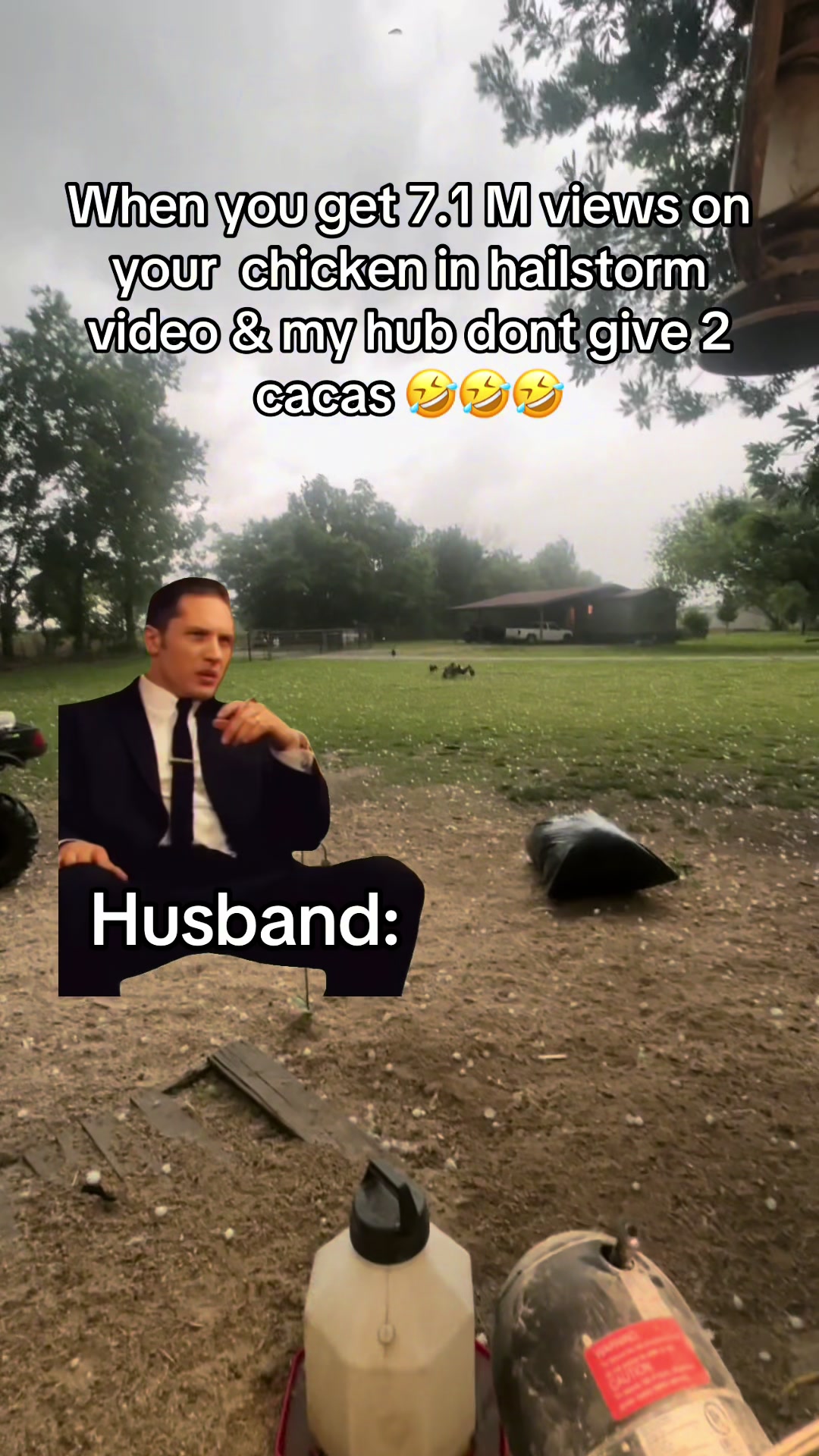 @NonniesFunnyFarm