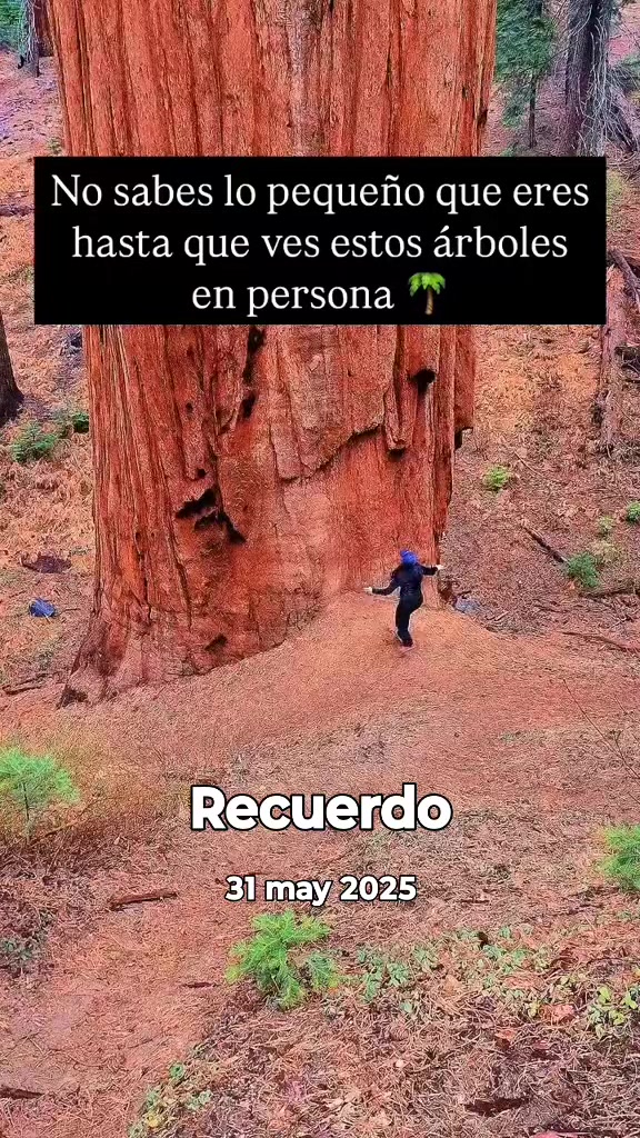 @Viviana Calabrese