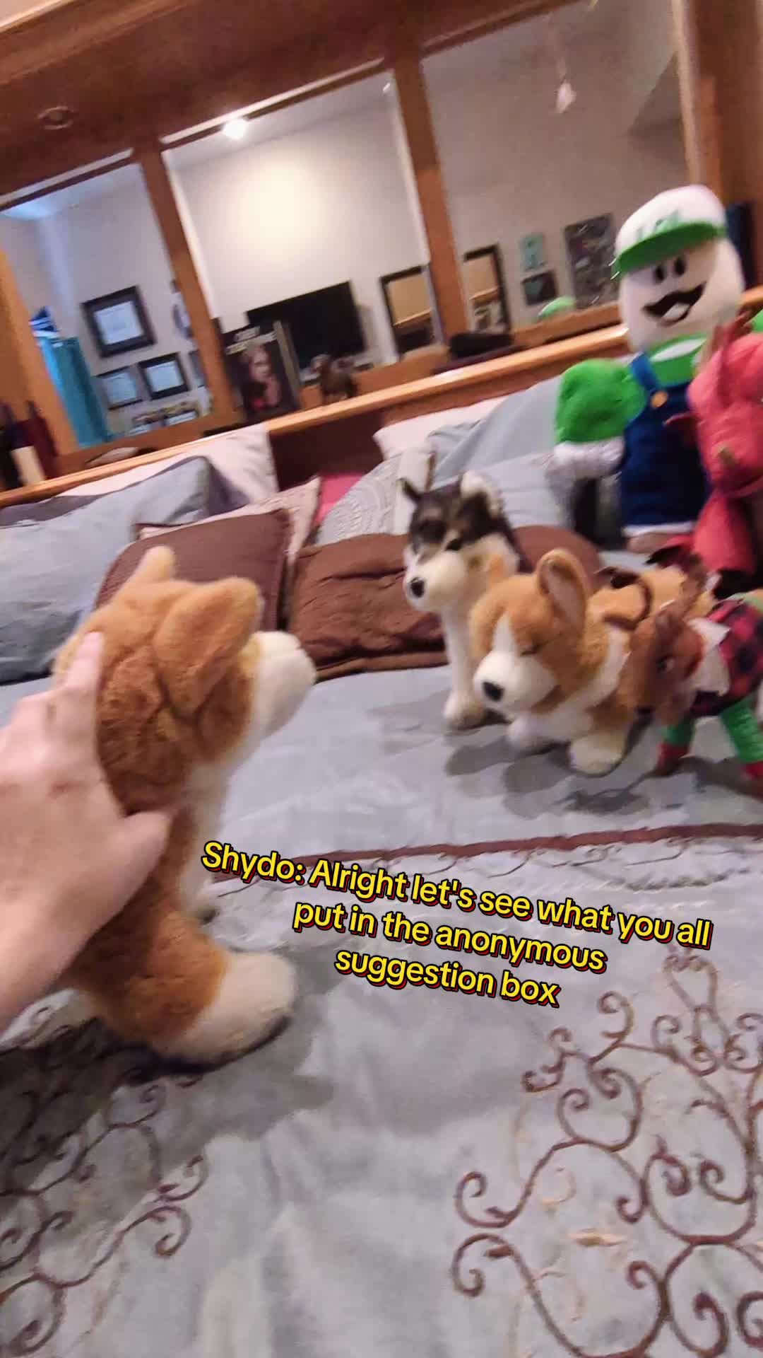@shydoshiba