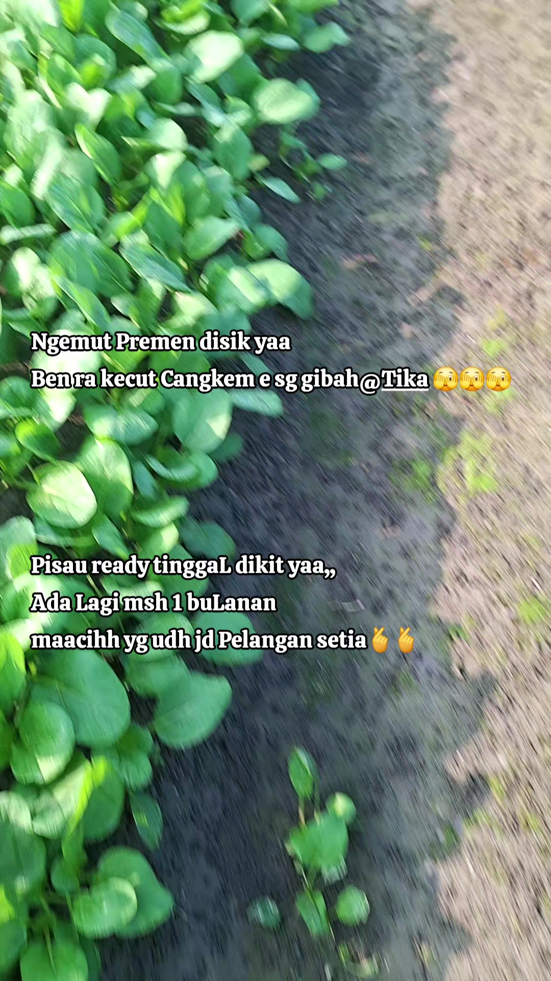 @Rizha Zhynta🇲🇨🇹🇼🐅💃