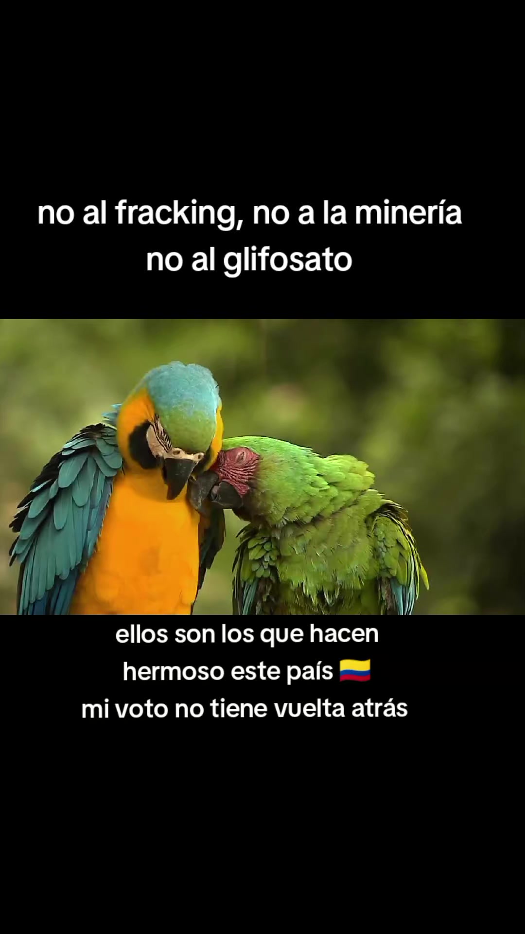 @ALFYULE