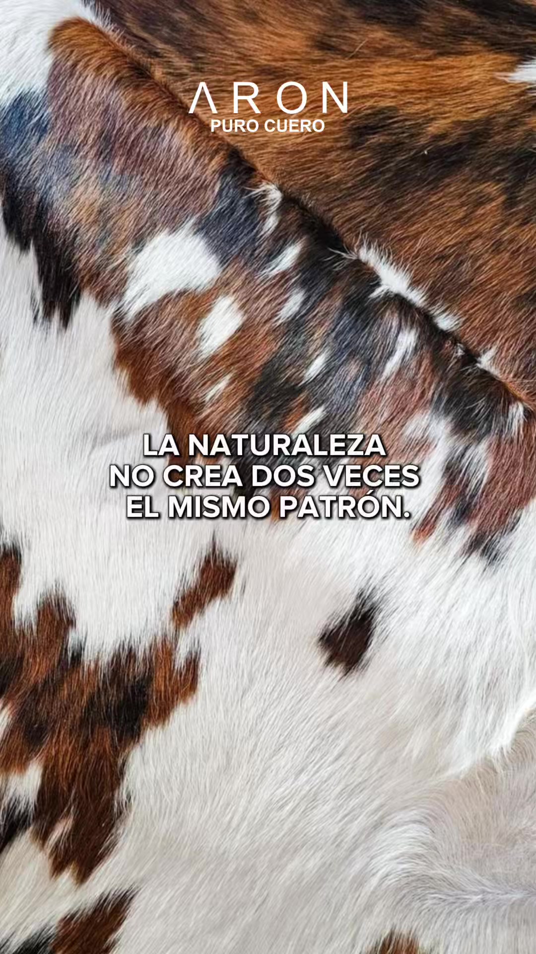 @ARONPUROCUERO