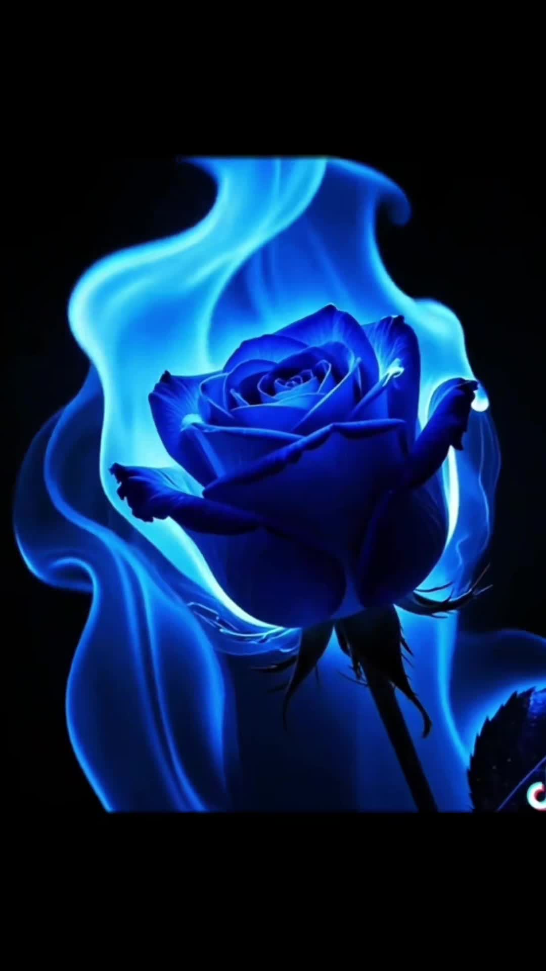 @CONQUEROR13