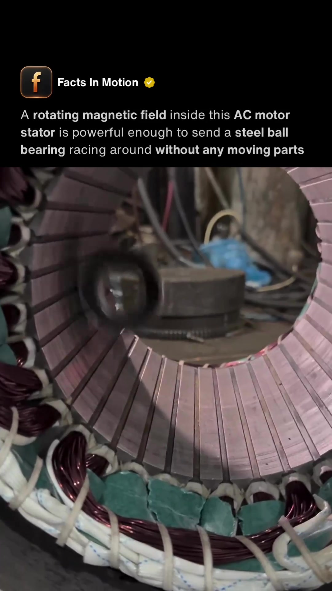 @Facts In Motion