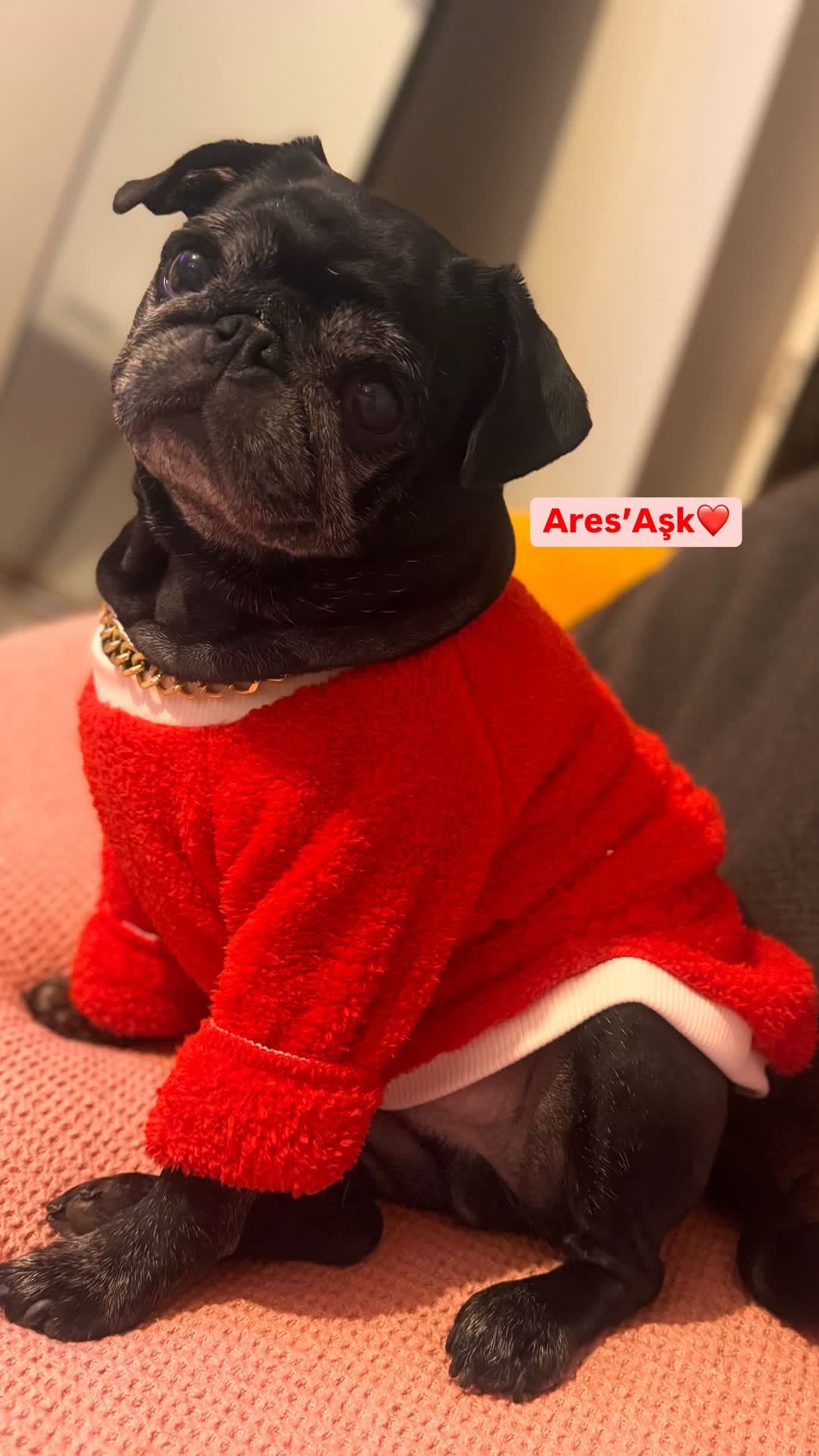 @Ares&rsquo;in_Annesi
